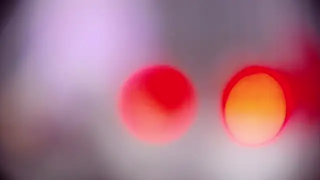 JiaLiss online show from 02/24/25, 06:38