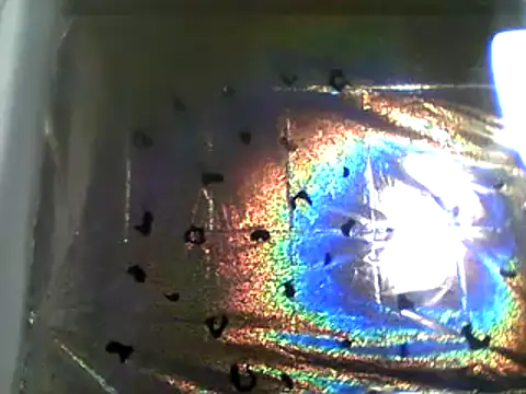 camiliaskye online show from 12/13/24, 04:22