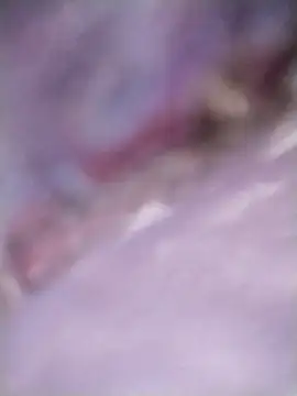 Meri-javani online show from 09/08/25, 07:57