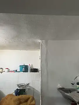 siri duque online show from 10/25/25, 11:07