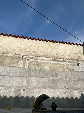 Leo bunny hot online show from 09/18/25, 08:11