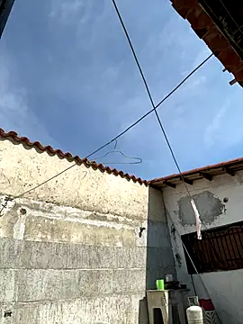 Leo bunny hot online show from 10/02/25, 06:48