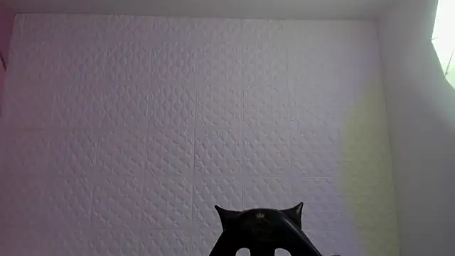 Violetaa diazz online show from 05/04/26, 09:33