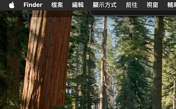 ex199212 online show from 03/08/25, 01:50
