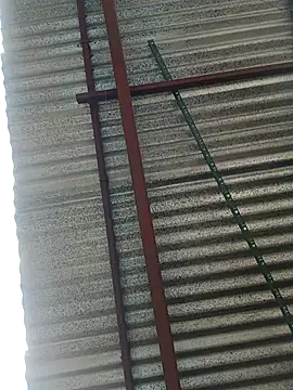 Snapshot of elputoflaco chatting on 01/09/26, 11:46 elputoflaco online show from 01/09/26, 11:46