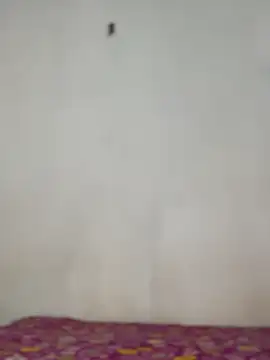 Nicole cute1 online show from 11/30/25, 07:29