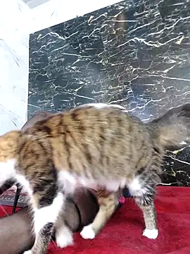 crislingery dolli online show from 10/12/25, 01:43