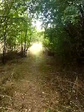 Snapshot of nataliecdlive chatting on 09/13/25, 01:33 nataliecdlive online show from 09/13/25, 01:33