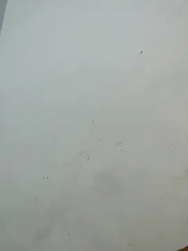 Sania-Love online show from 12/02/25, 11:11