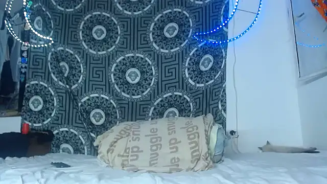 Snapshot of Adam_hard_ chatting on 11/26/25, 11:28 Adam hard online show from 11/26/25, 11:28