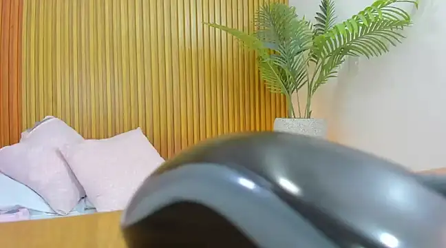 nahia 13 online show from 02/20/25, 02:57