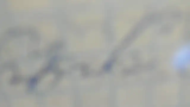 elis gabbi online show from 09/09/25, 12:59