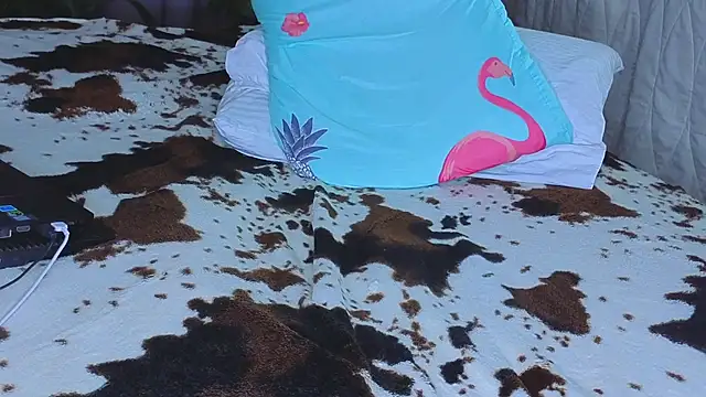 Snapshot of missnew2 chatting on 01/17/26, 02:16 missnew2 online show from 01/17/26, 02:16