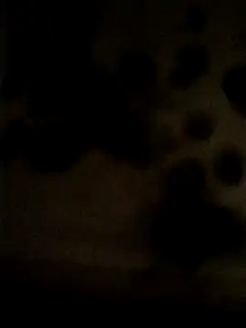 Snapshot of Leocesar37 chatting on 05/25/26, 02:23 Leocesar37 online show from 05/25/26, 02:23