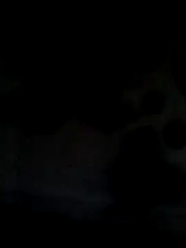 Snapshot of Leocesar37 chatting on 06/21/26, 05:43 Leocesar37 online show from 06/21/26, 05:43