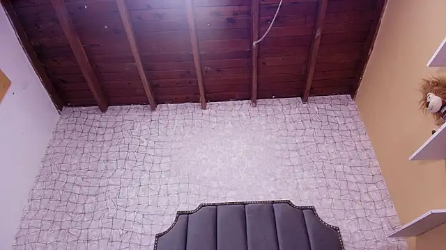 Snapshot of luce_williams chatting on 02/25/25, 07:14 luce williams online show from 02/25/25, 07:14