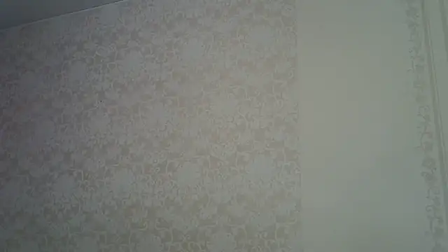 Snapshot of Pabonya91 chatting on 02/14/25, 08:26 Pabonya91 online show from 02/14/25, 08:26