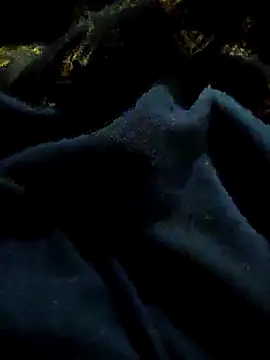 pusssyhub online show from 11/29/25, 11:08