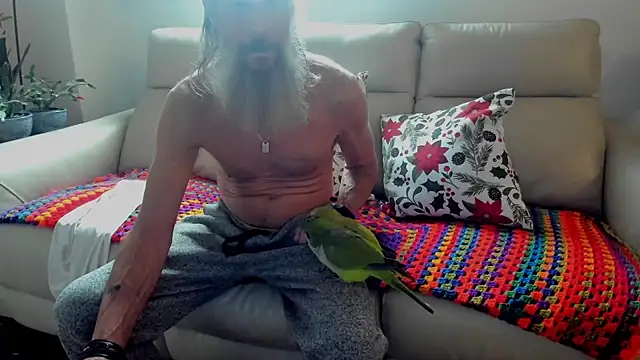 Snapshot of mindphu_k chatting on 11/26/25, 03:13 mindphu k online show from 11/26/25, 03:13