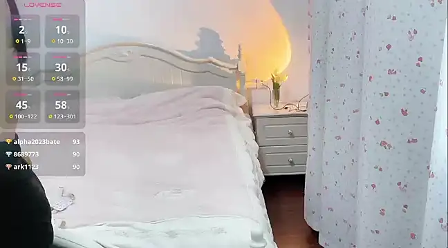 Snapshot of fanfan-FF chatting on 01/29/25, 04:47 fanfan-FF online show from 01/29/25, 04:47