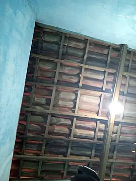 68 Toni online show from 09/13/25, 08:47