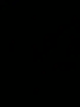 Snapshot of Jan_berger chatting on 12/31/24, 04:46 Jan berger online show from 12/31/24, 04:46