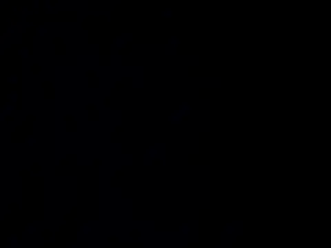 nupa230780 online show from 04/29/26, 04:22