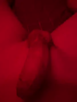 kevin344112 online show from 12/12/24, 11:03