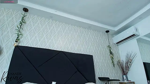 Snapshot of sandy_rivas chatting on 07/15/26, 11:59 sandy rivas online show from 07/15/26, 11:59