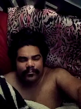 Snapshot of Brickstash chatting on 11/30/25, 11:25 Brickstash online show from 11/30/25, 11:25