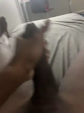 Snapshot of arrete2025 chatting on 02/03/25, 01:08 arrete2025 online show from 02/03/25, 01:08