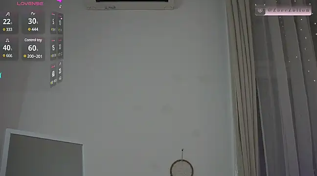 Snapshot of ZoeeZolton chatting on 03/06/25, 09:53 ZoeeZolton online show from 03/06/25, 09:53