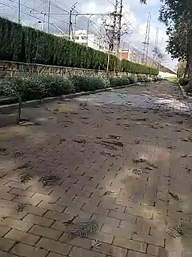 mehdi-l7away online show from 03/09/26, 03:05