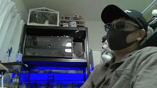 Snapshot of Owl1216 chatting on 12/04/24, 02:37 Owl1216 online show from 12/04/24, 02:37