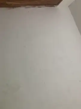 Snapshot of menorbnx chatting on 11/09/25, 06:33 menorbnx online show from 11/09/25, 06:33