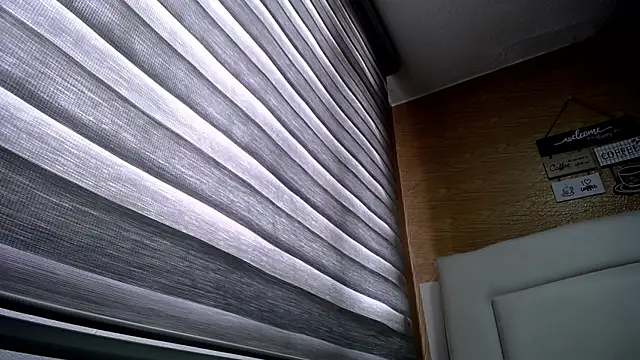 palmer mIix online show from 12/02/24, 03:14