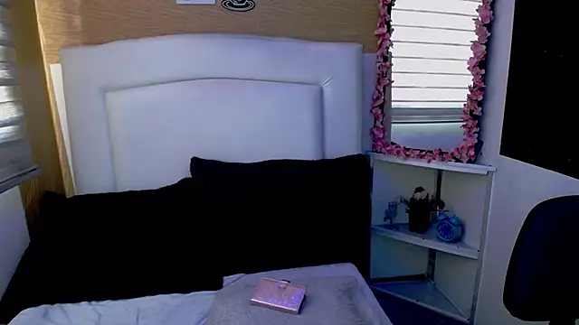 palmer mIix online show from 12/05/24, 01:17