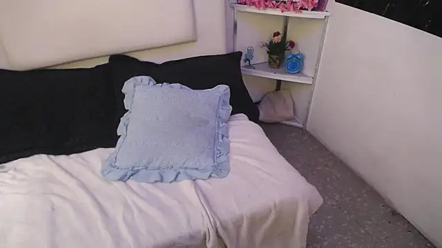 palmer mIix online show from 12/27/24, 01:07