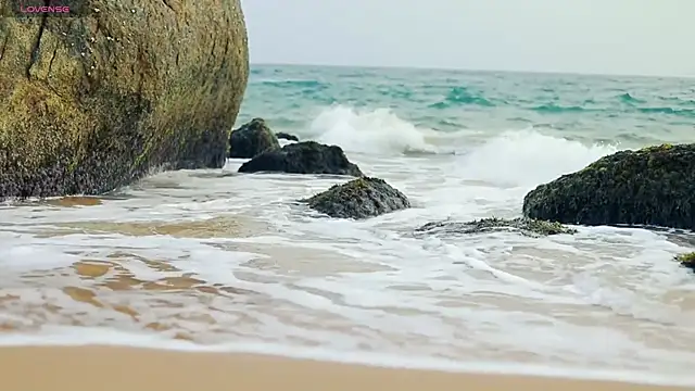  sex in paradise  online show from 12/04/24, 12:41