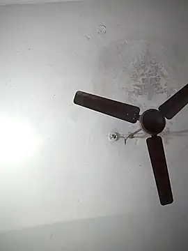 sana14 online show from 12/19/25, 07:04