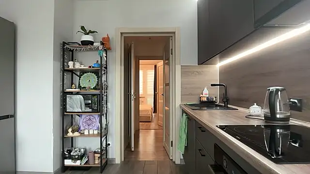 jainesummer online show from 11/11/25, 07:52