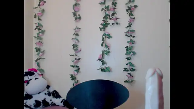 Saloome- online show from 06/15/26, 07:05