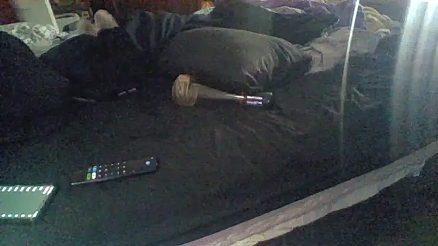 Snapshot of ThatPlatinumD chatting on 03/13/26, 04:24 ThatPlatinumD online show from 03/13/26, 04:24