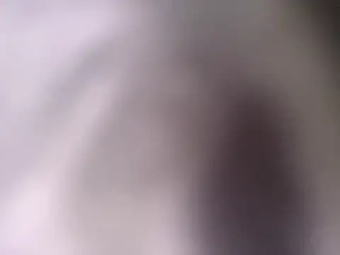 pantomax online show from 09/20/25, 08:48