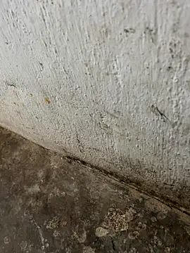 Snapshot of tamil000000 chatting on 11/03/25, 03:30 tamil000000 online show from 11/03/25, 03:30