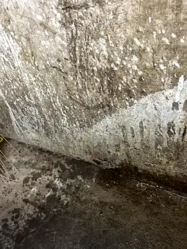 Snapshot of tamil000000 chatting on 01/12/26, 01:05 tamil000000 online show from 01/12/26, 01:05