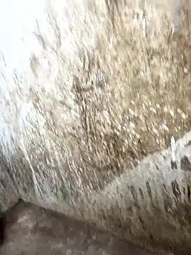 Snapshot of tamil000000 chatting on 01/17/26, 10:31 tamil000000 online show from 01/17/26, 10:31