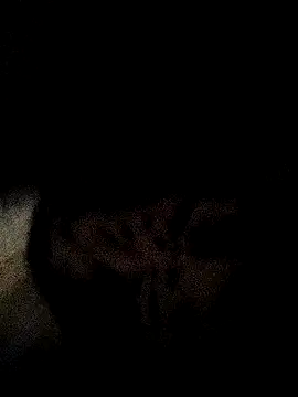 Snapshot of ruhi2003 chatting on 12/03/24, 11:33 ruhi2003 online show from 12/03/24, 11:33