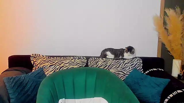 Snapshot of rora_skyline chatting on 03/05/26, 01:18 rora skyline online show from 03/05/26, 01:18