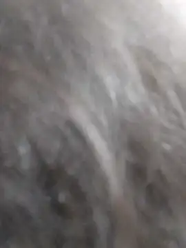 kobita Mohali online show from 09/14/25, 08:13